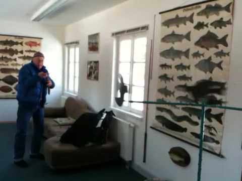 Kormoran Jagd in Bayern