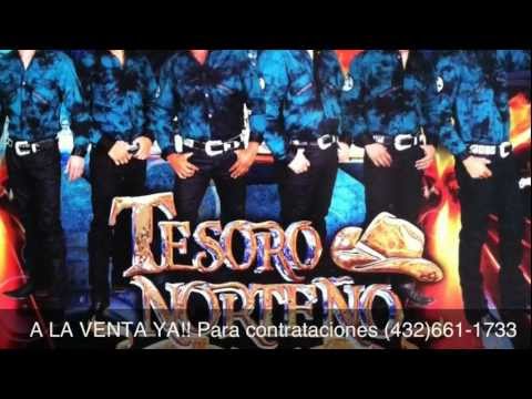 Tesoro Norteño- Te Quise Una Vez ((2013))