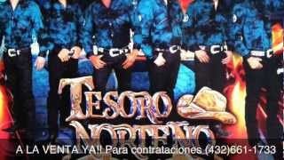 Tesoro Norteño- Te Quise Una Vez ((2013))