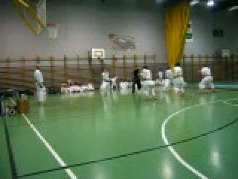 exhibición de la escuela de karate villamuriel