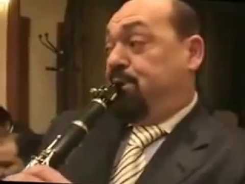 IONICA MINUNE    MIELLE BIBESCU    DANIEL COSTACHE