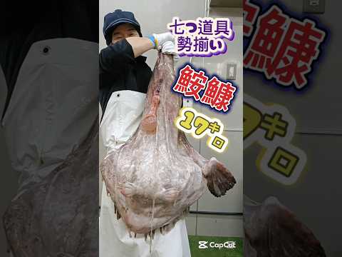 特大アンコウ【七つ道具】を捌きながら紹介 #アンコウ捌き方 #アンコウ七つ道具 #鮟鱇