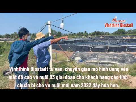 VinhthinhBiostadt tư vấn chuyển giao mô hình ương vèo mật độ cao và nuôi 3 giai đoạn cho khách hàng