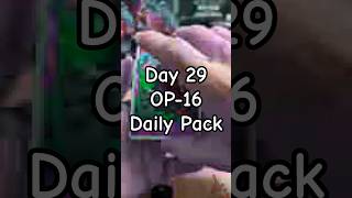 Day 29 OP-16 One Piece TCG — Can This Pack Hit?  #op #cards #tcg #onepiece #content