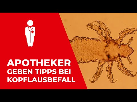 Einfach da für dich - wenn´s auf dem Kopf kribbelt und krabbelt und juckt