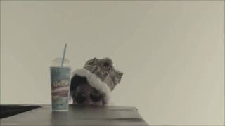 Slurpee Thief Frozen