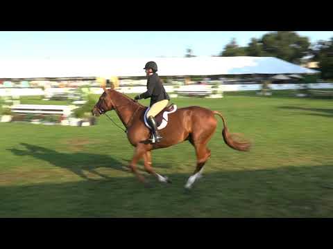 409 FORTUNATE BETH UGORETZ