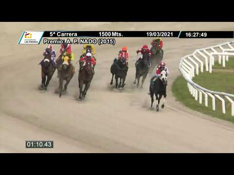 210319 c05 - SOUTHERN FEVER - HIPODROMO LAS PIEDRAS
