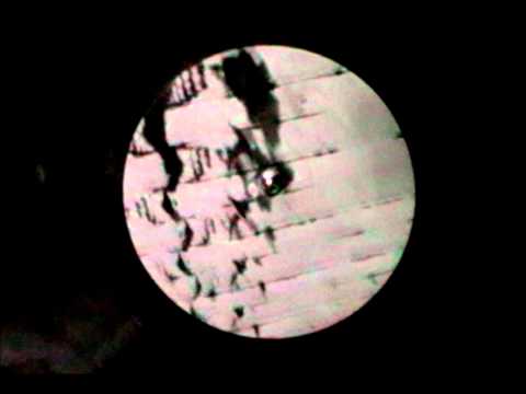 Team Wasted 7.2 - A1 - Dj Y - Australian