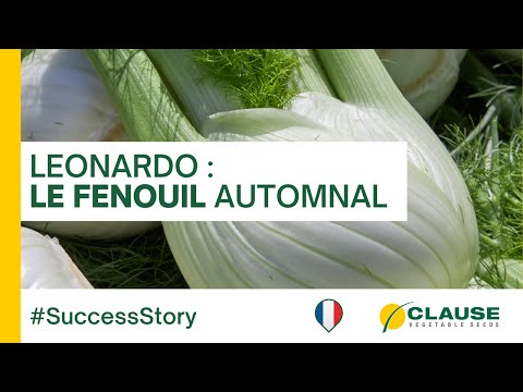 Video: LEONARDO F1