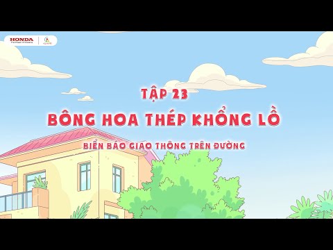 video1
