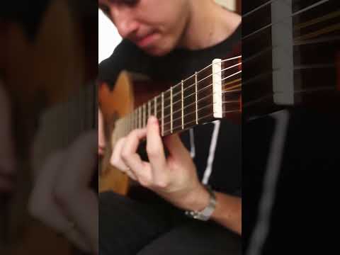 Vida De Índio - Francisco de Assis