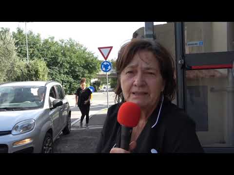 GELLO UN'OASI NEL VERDE