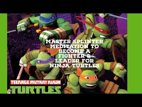 Teenage mutant ninja turtles - Master Splinter fighting & leadership meditation to be a ninja turtle