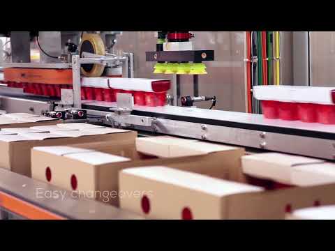 Encaisseuse robotisée ARILOAD 3 - prise et dépose de produits unitaires ou suremballés - adaptable selon cadence et application_1