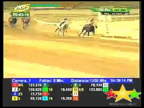 LA RINCONADA 7 CARRERA, DOMINGO 20 DE MARZO DEL 2016