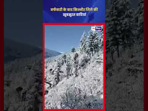 Kinnaur Snowfall के बाद बदले नजारे, Himachal Winter Beauty वायरल