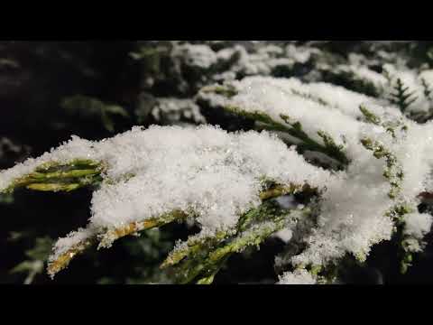 Prima ninsoare consistenta din timpulnnoptii in Popesti Leordeni, judetul Ilfov, Romania 