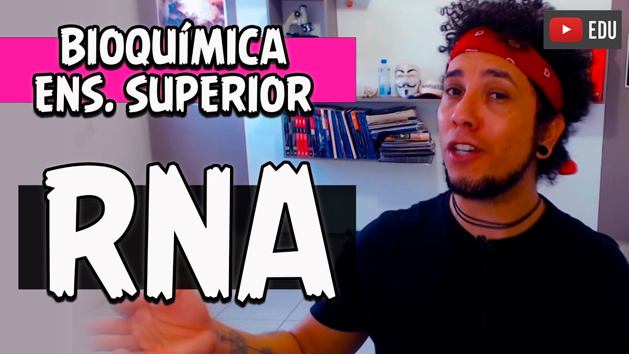 Estrutura e Função do RNA | Curso Bioquímica Ens. Superior (AULA 10)