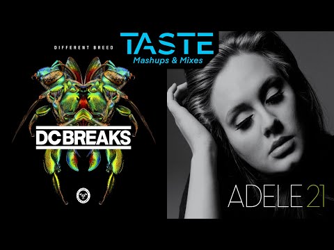 Rolling In The Deep (Dimension Remix) x Never Stop (Adele x DC Breaks) [Mashup]