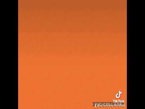 Total-T Magic by Terrence Hunter video.