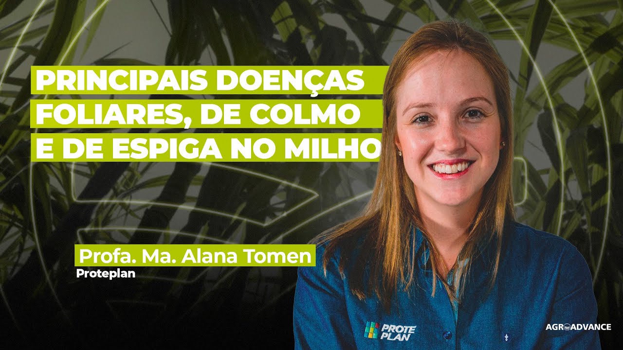 AS PRINCIPAIS DOENÇAS NA CULTURA DO MILHO