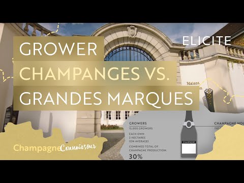 download lagu mp3 mp4 How Many Champagne Producers Are There, download lagu How Many Champagne Producers Are There gratis, unduh video klip How Many Champagne Producers Are There
