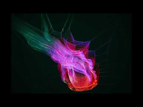 Techno Set by Guybrush - February 2019 HQ Techno Mix with Current Top Tracks! #DirtyBass #NachVorne