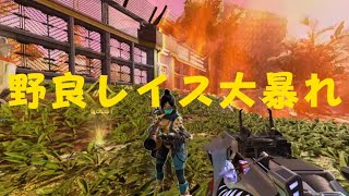[APEX:ゴールド]味方のレイスが強すぎてチャンピオン[SAYER SUN]