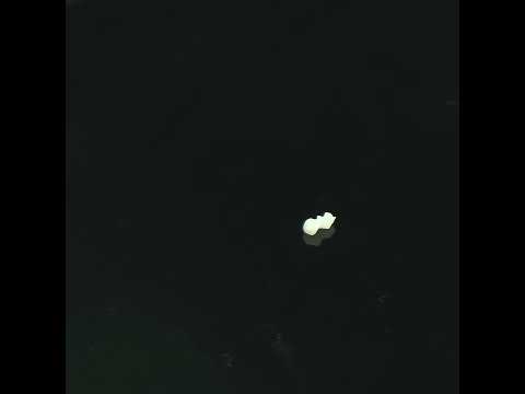 YouTube 썸네일