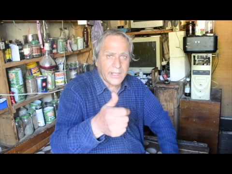 Interviu  Rodion G A