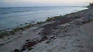 Chore of Enchantment