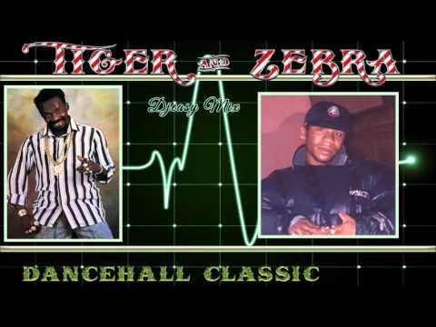 Tiger and Zebra Dancehall Classic Sizzling mix by Djeasy