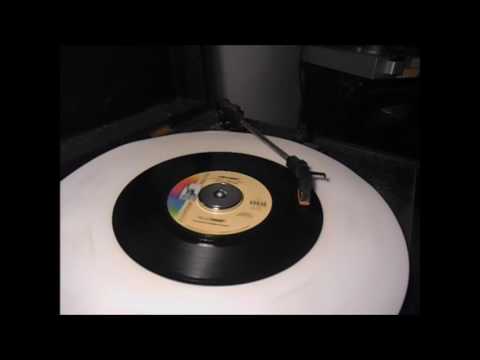 P J PROBY NIKI HOEKY