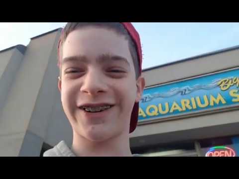 download lagu mp3 mp4 Fish Specialty Store, download lagu Fish Specialty Store gratis, unduh video klip Fish Specialty Store