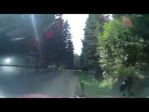 Beskid Niski. Lasem do Wołowca. Legalnie.