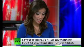 WikiLeaks reveals classified Gitmo files