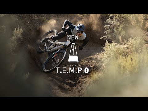 T.E.M.P.O - Hugo Frixtalon