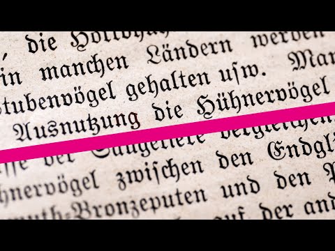 1921: AUSNUTZUNG der Hühnervögel ist vergleichbar mit den Zweihufern & Wiederkäuern....
