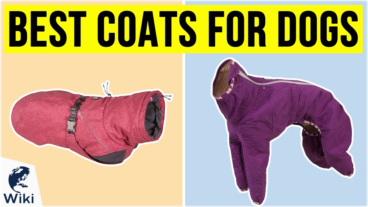 Watch video 10 Best Coats For Dogs 2020 Now 10 Best Coats For Dogs 2020