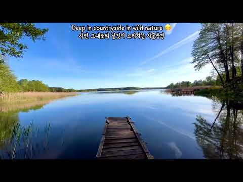 Late Afternoon Bike Trip along Calm Lakes @ Augustow, Poland