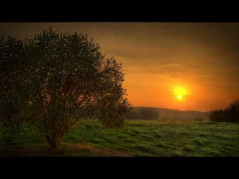 [HD] Paul Miller pres. Meli - Aeon Flux