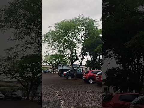 01/10/25, Marmeleiro, PR.#turismo #viagem #marmeleiro #parana