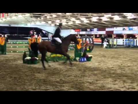 Etoulon VDL  CSI Wierden 2015