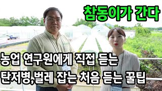노지고추농사 탄저병 교육 받고 왔습니다