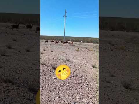 Día 3: 🚲Parte 3 Último tramo de hoy...y a descansar...💪