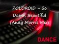 Poloroid So Damn Beautiful Andy Morris Mix Wmv