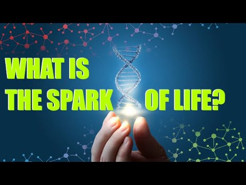 How does life work?