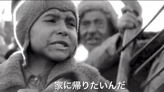 映画『異端の鳥』予告編