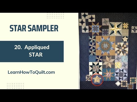 Star Sampler #20 - STAR Applique